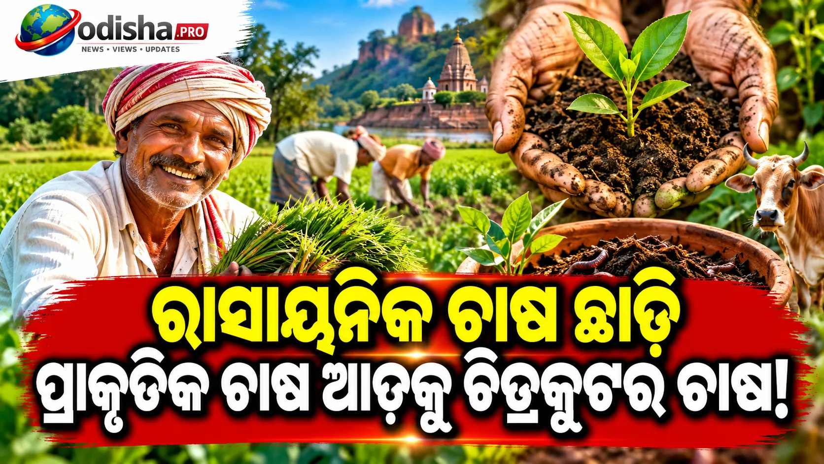 ରାସାୟନିକ ଚାଷ ଛାଡ଼ି ପ୍ରାକୃତିକ ଚାଷ ଆଡ଼କୁ ଚିତ୍ରକୂଟର ଚାଷୀ, କମୁଛି ଚାଷ ଖର୍ଚ୍ଚ