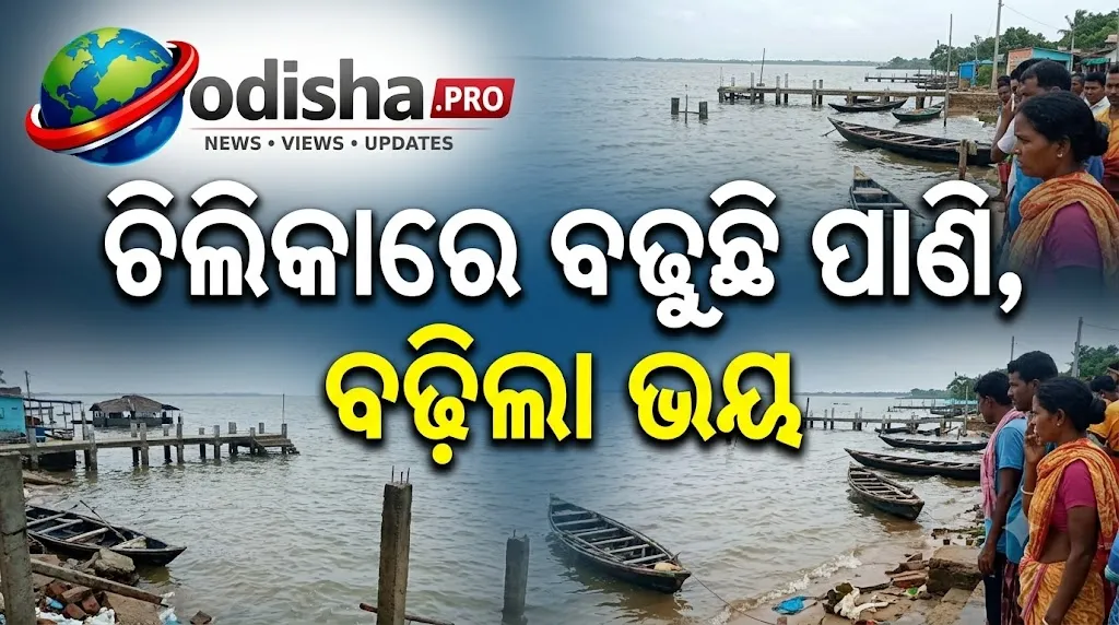 ଚିଲିକାରେ ବଢ଼ୁଛି ପାଣି, ବଢ଼ିଲା ଭୟ: ୧୪ ପଞ୍ଚାୟତର ପ୍ରାୟ ୧୦୦ ଗାଁରେ ଜଳବନ୍ଦୀ ଆଶଙ୍କା