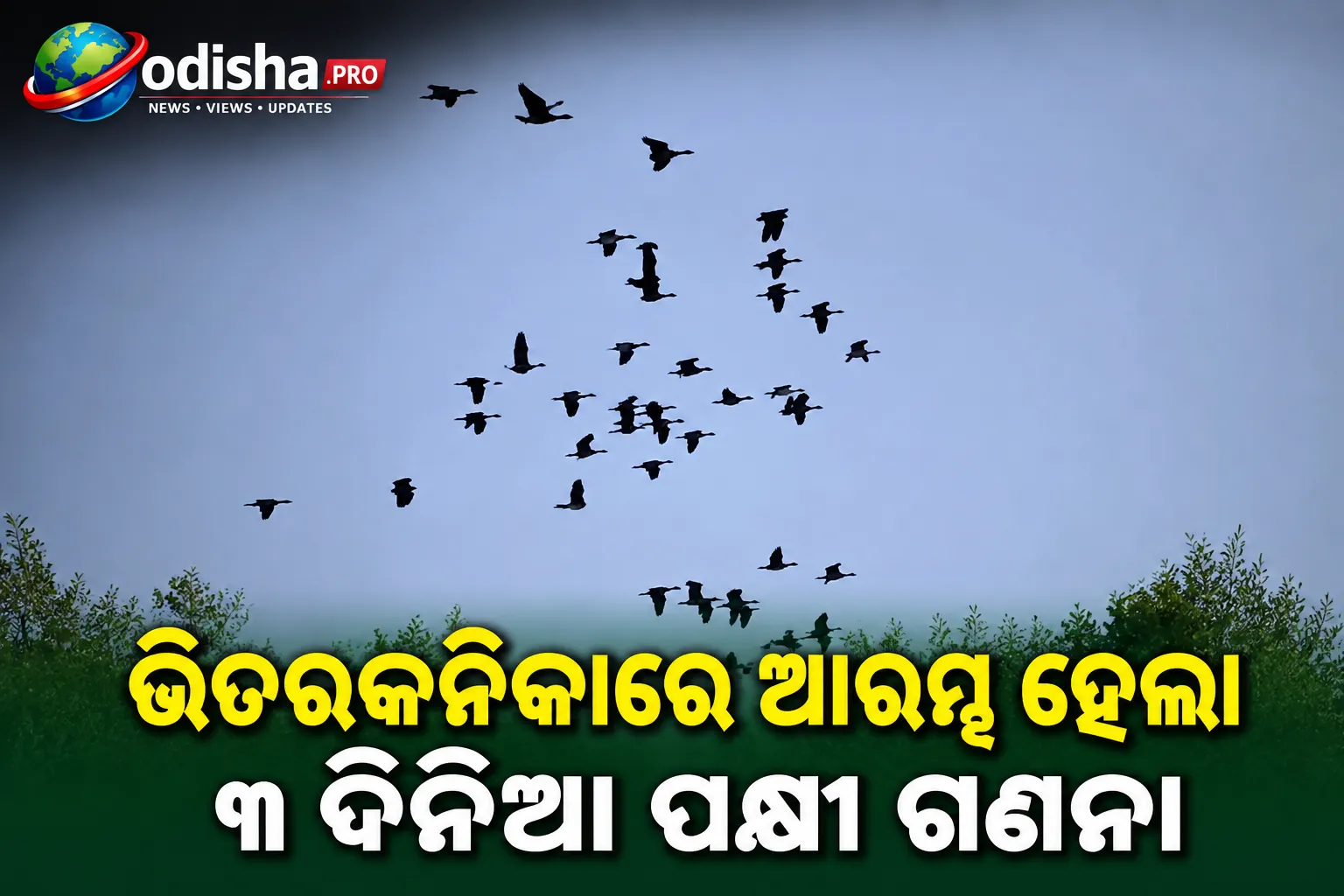 ଭିତରକନିକାରେ ଆରମ୍ଭ ହେଲା ୩ ଦିନିଆ ପକ୍ଷୀ ଗଣନା