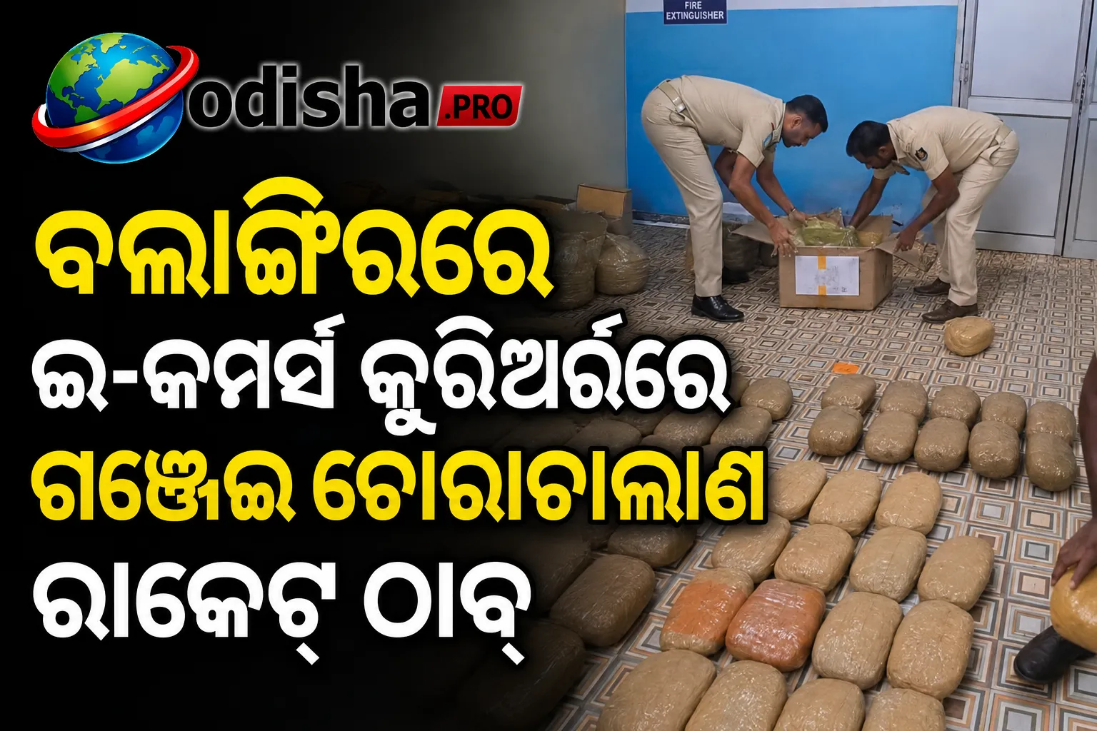 ବଲାଙ୍ଗିରରେ ଇ-କମର୍ସ କୁରିଅର୍‌ରେ ଗଞ୍ଜେଇ ଚୋରାଚାଲାଣ ରାକେଟ୍‌ ଠାବ, ୧୧୩ କେଜି ଗଞ୍ଜେଇ ଜବତ; ୭ ଗିରଫ