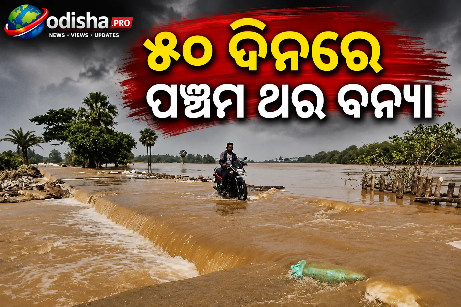 ୫୦ ଦିନରେ ପଞ୍ଚମ ଥର ବନ୍ୟା: ବୈତରଣୀ ଫୁଲିବାରୁ ପୁଣି ଜଳବନ୍ଦୀ ଭଦ୍ରକ