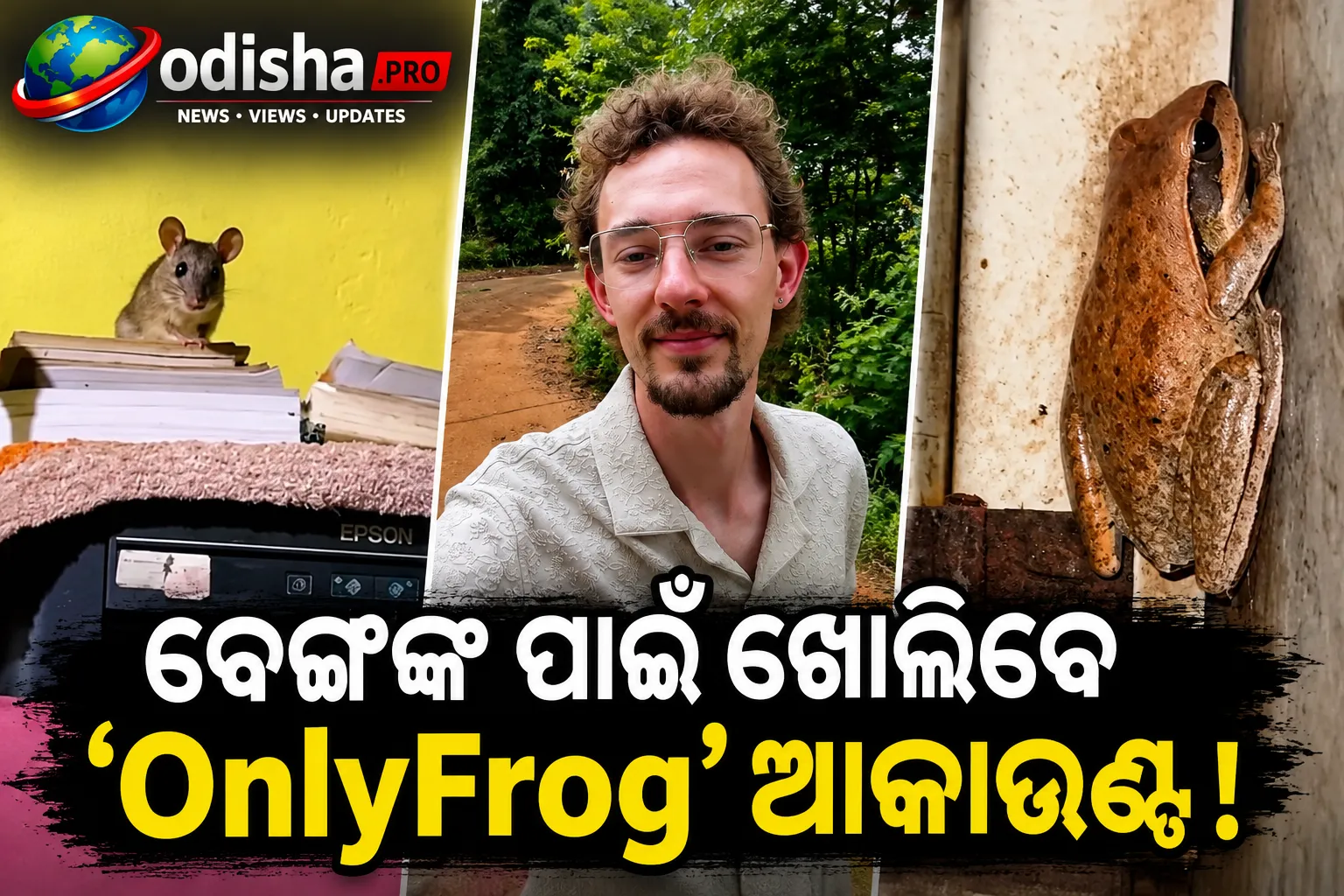 ଓଡ଼ିଶା ଗାଁରେ ଆମେରିକୀୟ ଫିଲ୍ମମେକରଙ୍କ ଅଜବ ଅନୁଭୂତି, ବେଙ୍ଗଙ୍କ ପାଇଁ ଖୋଲିବେ ‘OnlyFrog’ ଆକାଉଣ୍ଟ!