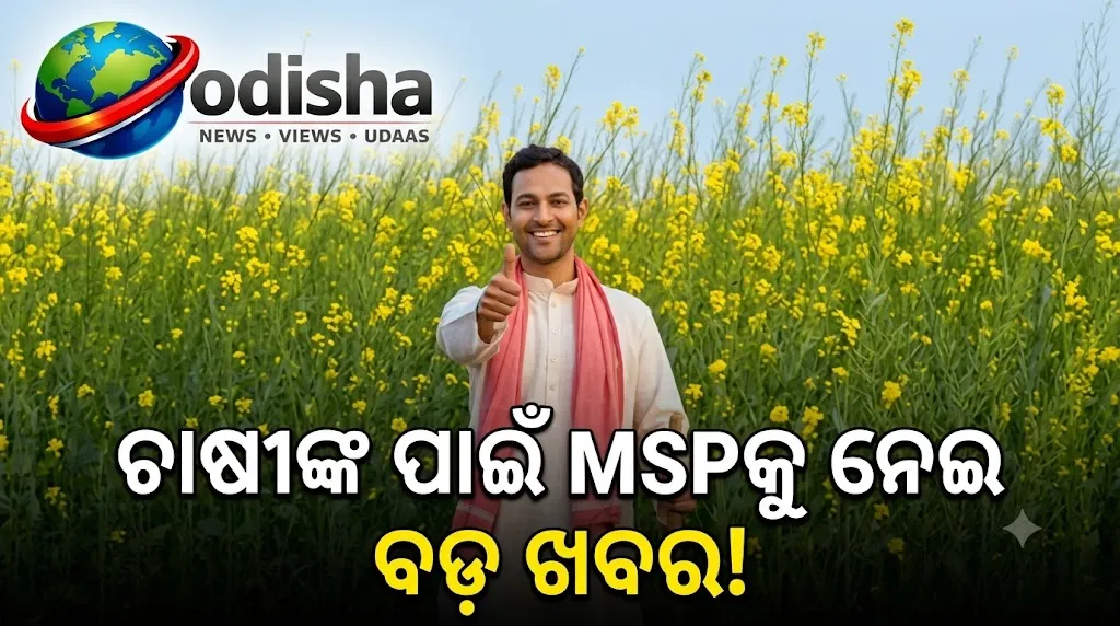 ୬ଟି ରବି ଫସଲର MSP ବଢ଼ିଲା, କେଉଁ ଫସଲରେ କେତେ ବଢ଼ିଲା ଜାଣନ୍ତୁ