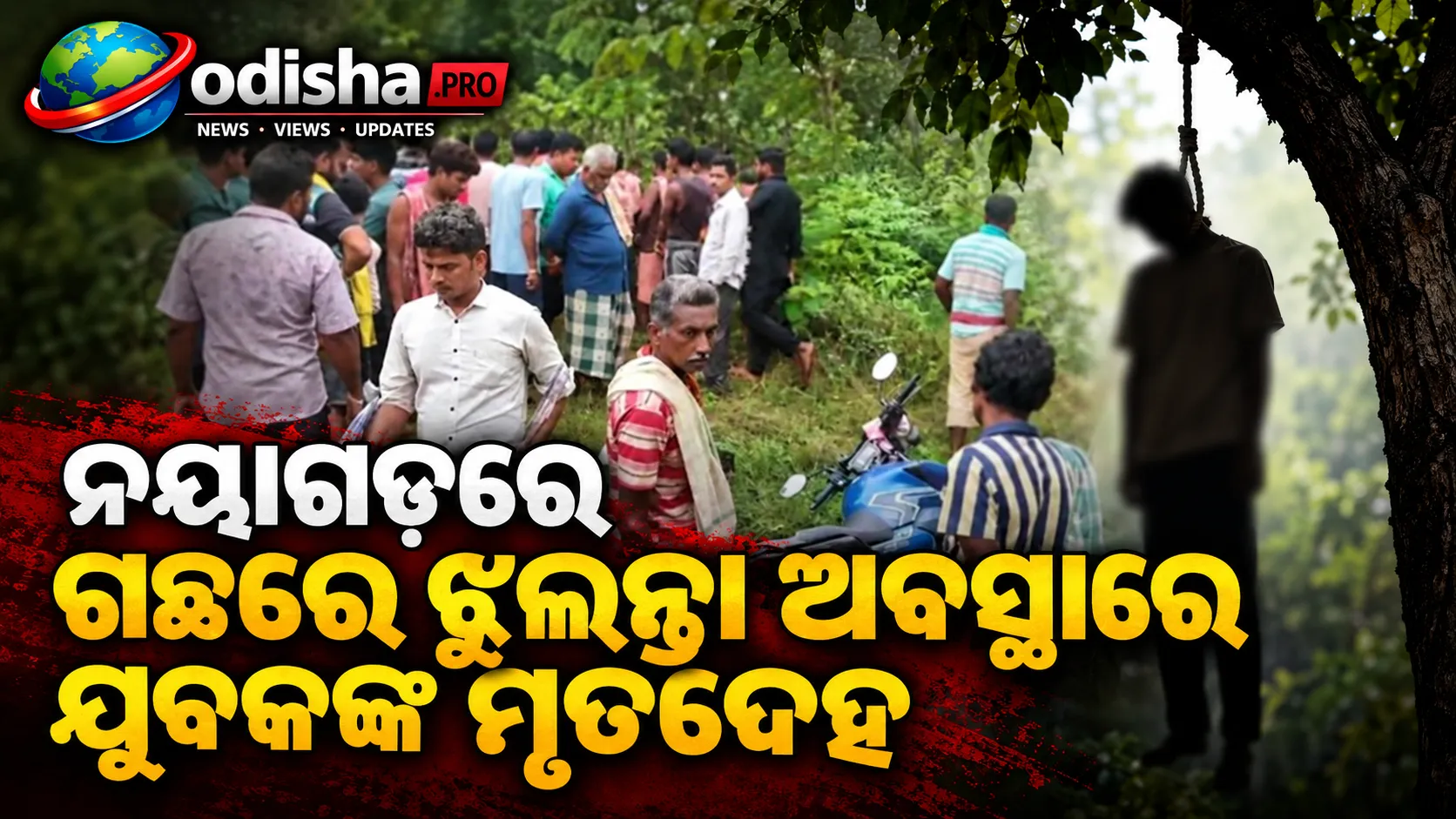 ନୟାଗଡ଼ରେ ଗଛରେ ଝୁଲନ୍ତା ଅବସ୍ଥାରେ ଯୁବକଙ୍କ ମୃତଦେହ, ଗଳା କଟା ଚିହ୍ନ; ହତ୍ୟା ସନ୍ଦେହ