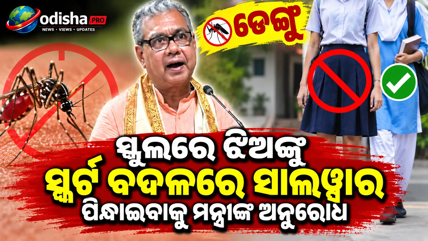 ଡେଙ୍ଗୁ ରୋକିବାକୁ ସ୍କୁଲରେ ଝିଅଙ୍କୁ ସ୍କର୍ଟ ବଦଳରେ ସାଲୱାର ପିନ୍ଧାଇବାକୁ ମନ୍ତ୍ରୀଙ୍କ ଅନୁରୋଧ
