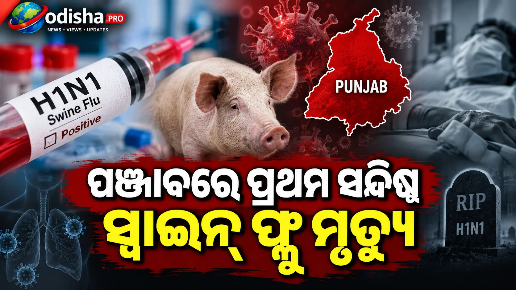 ପଞ୍ଜାବରେ ପ୍ରଥମ ସନ୍ଦିଗ୍ଧ ସ୍ୱାଇନ୍ ଫ୍ଲୁ ମୃତ୍ୟୁ, H1N1 ଆକ୍ରାନ୍ତଙ୍କ ସଂଖ୍ୟା ୨୨୦
