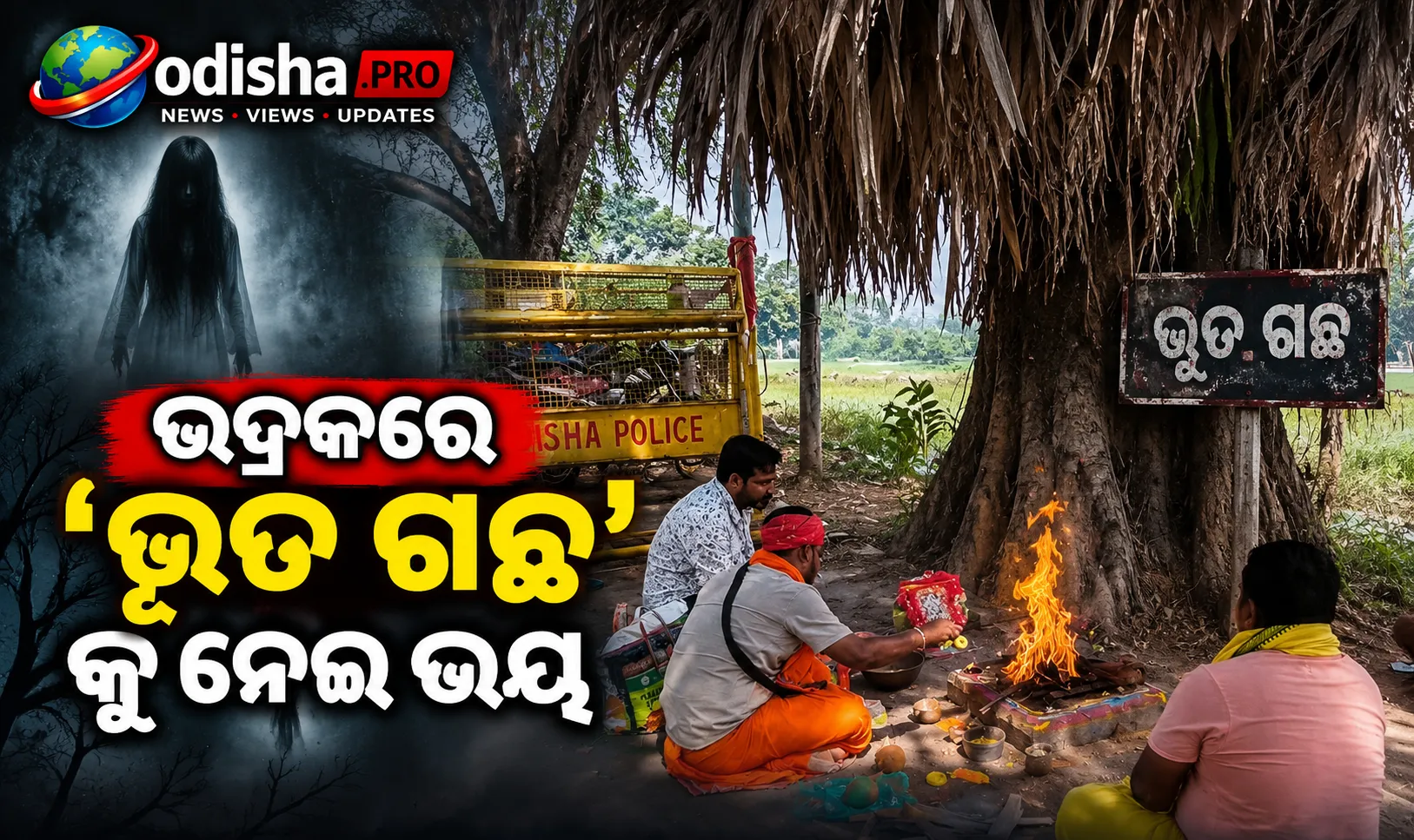 ଭଦ୍ରକରେ ‘ଭୂତ ଗଛ’କୁ ନେଇ ଭୟ! ୧୫ ଦିନରେ ସମାନ ସ୍ଥାନରେ ଦୁଇ ମୃତ, ୫ ଗୁରୁତର