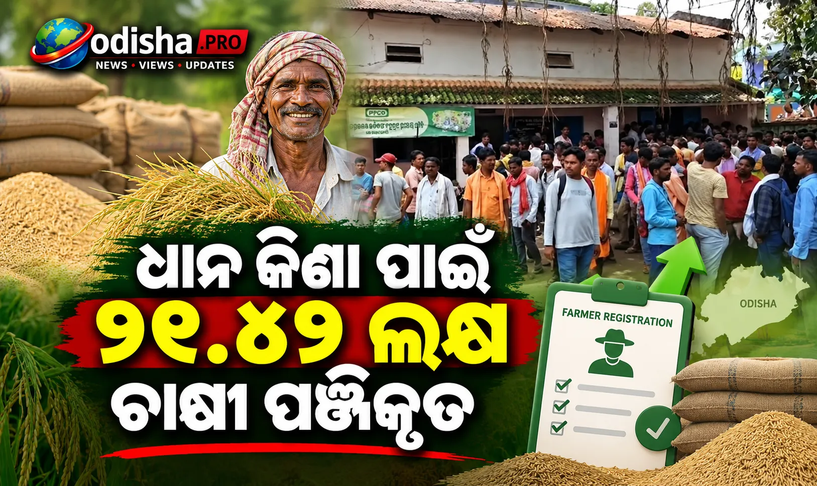 ଧାନ କିଣା ପାଇଁ ରେକର୍ଡ ୨୧.୪୨ ଲକ୍ଷ ଚାଷୀ ପଞ୍ଜୀକୃତ, ଆଜି ସରୁଛି ବର୍ଦ୍ଧିତ ସମୟସୀମା