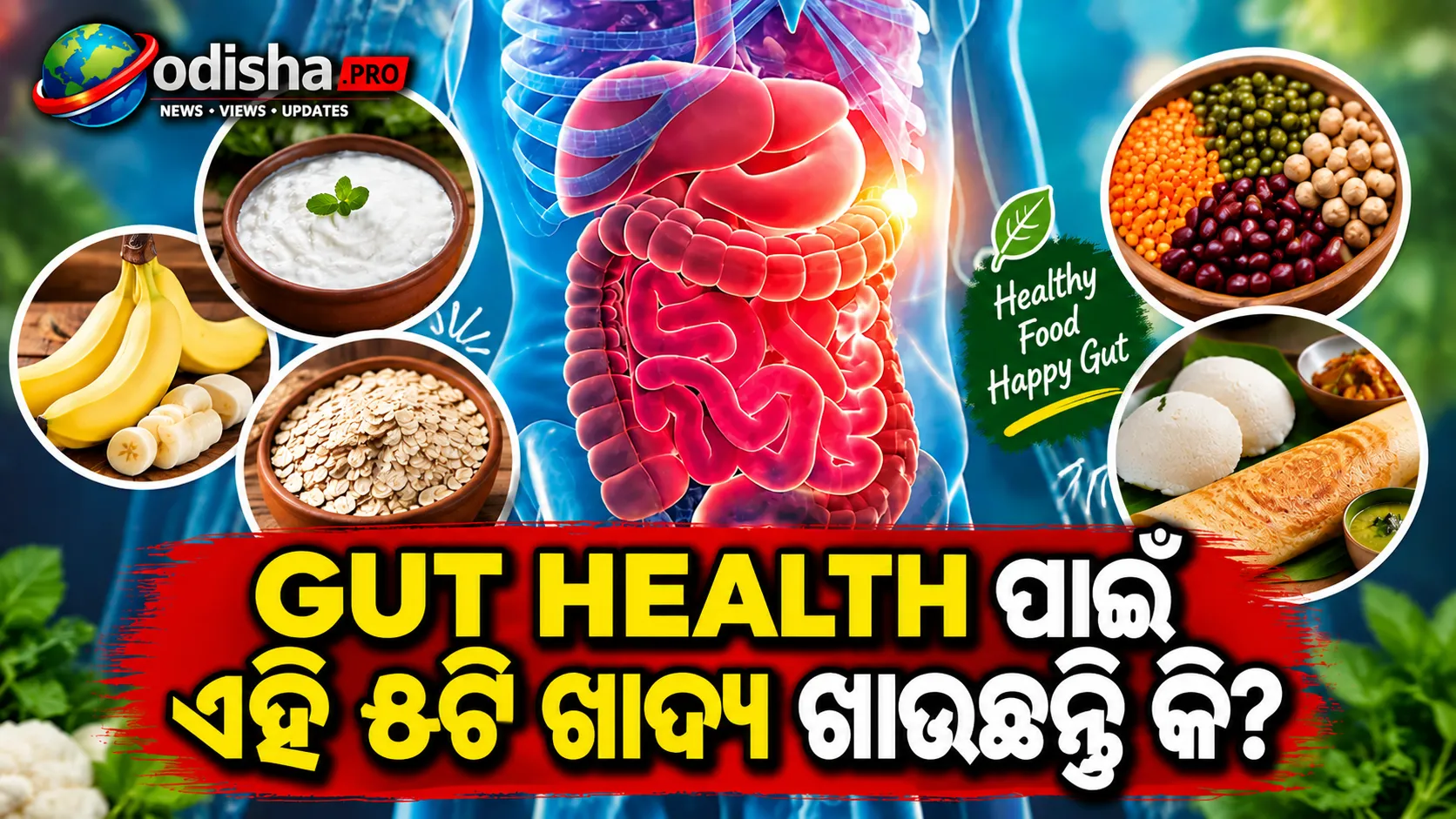 ଭଲ ଗଟ୍‌ ହେଲ୍ଥ ପାଇଁ ଖାଉଛନ୍ତି କି? ଏହି ୫ଟି ଖାଦ୍ୟକୁ ଡାଏଟ୍‌ରେ ସାମିଲ କରନ୍ତୁ