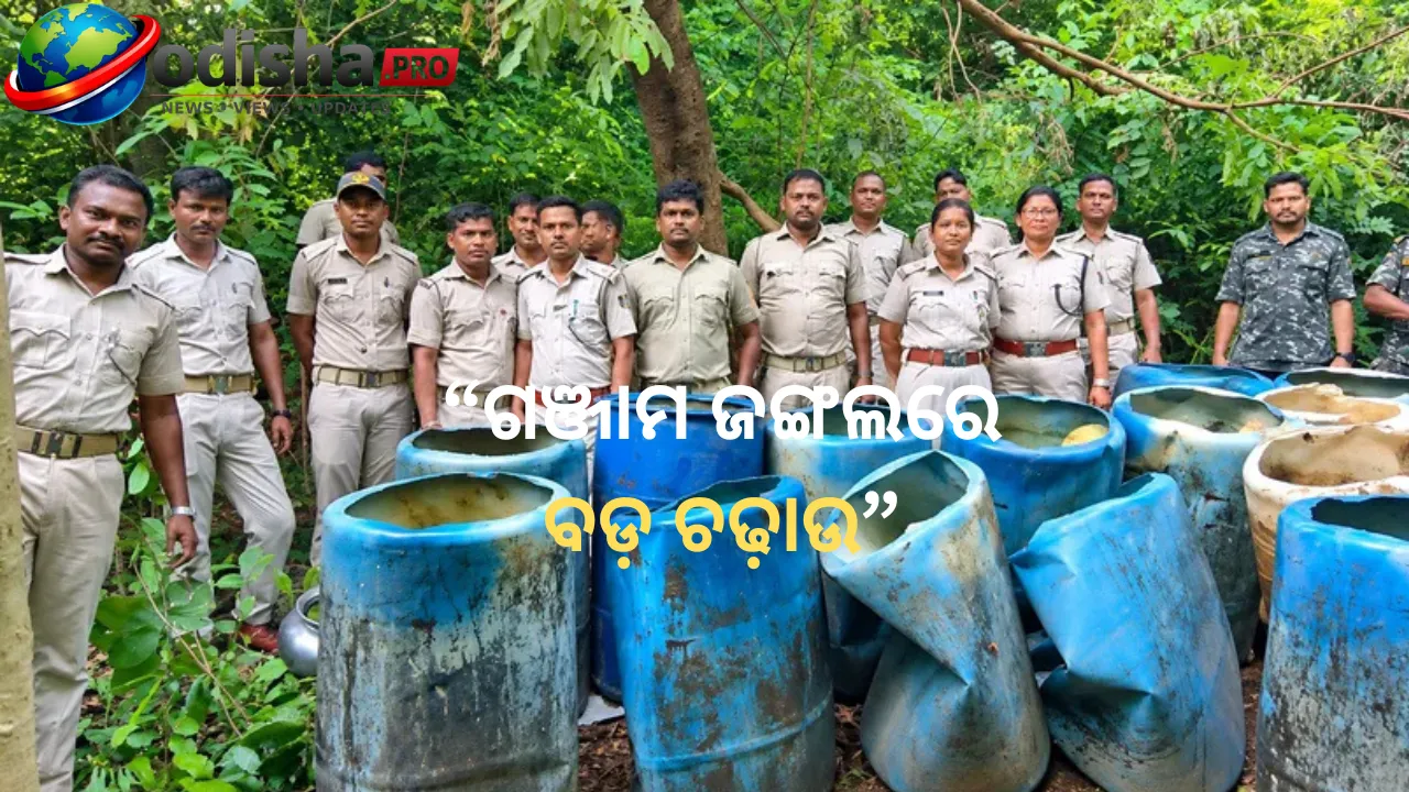 ଗଞ୍ଜାମ ଜଙ୍ଗଲରେ ବଡ଼ ଚଢ଼ାଉ, ନଷ୍ଟ ହେଲା ୧,୫୧୦ ଲିଟର ଚୋରା ମଦ