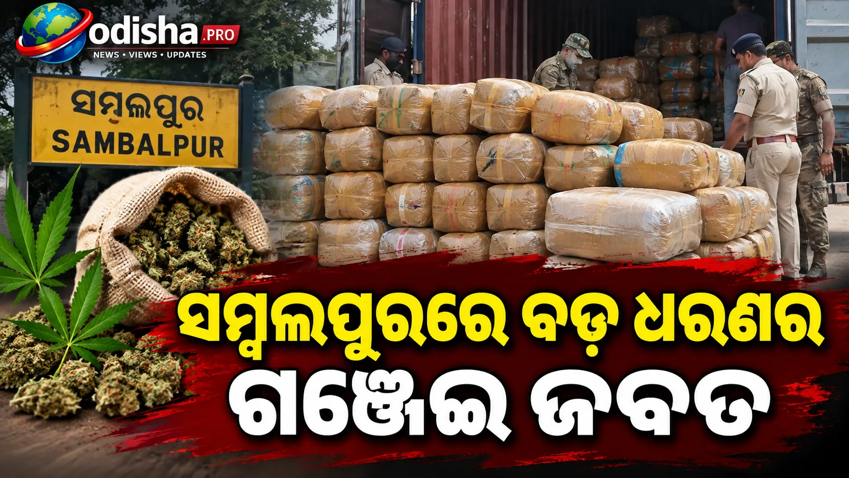 ସମ୍ବଲପୁରରେ ବଡ଼ ଧରଣର ଗଞ୍ଜେଇ ଜବତ, କଣ୍ଟେନରର ଗୁପ୍ତ ଚାମ୍ବରରୁ ମିଳିଲା ୧୨୦୦ କେଜି; ୨ ଗିରଫ