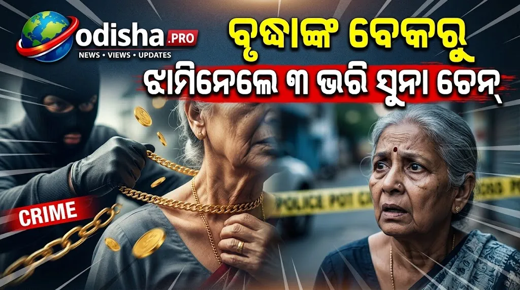 ଡ୍ରେନ୍‌ରୁ କାଢ଼ିବା ବାହାନାରେ ଆସିଲେ, କଥାରେ ଭୁଲାଇ ବୃଦ୍ଧାଙ୍କ ବେକରୁ ଝାମ୍ପିନେଲେ ୩ ଭରି ସୁନା ଚେନ୍
