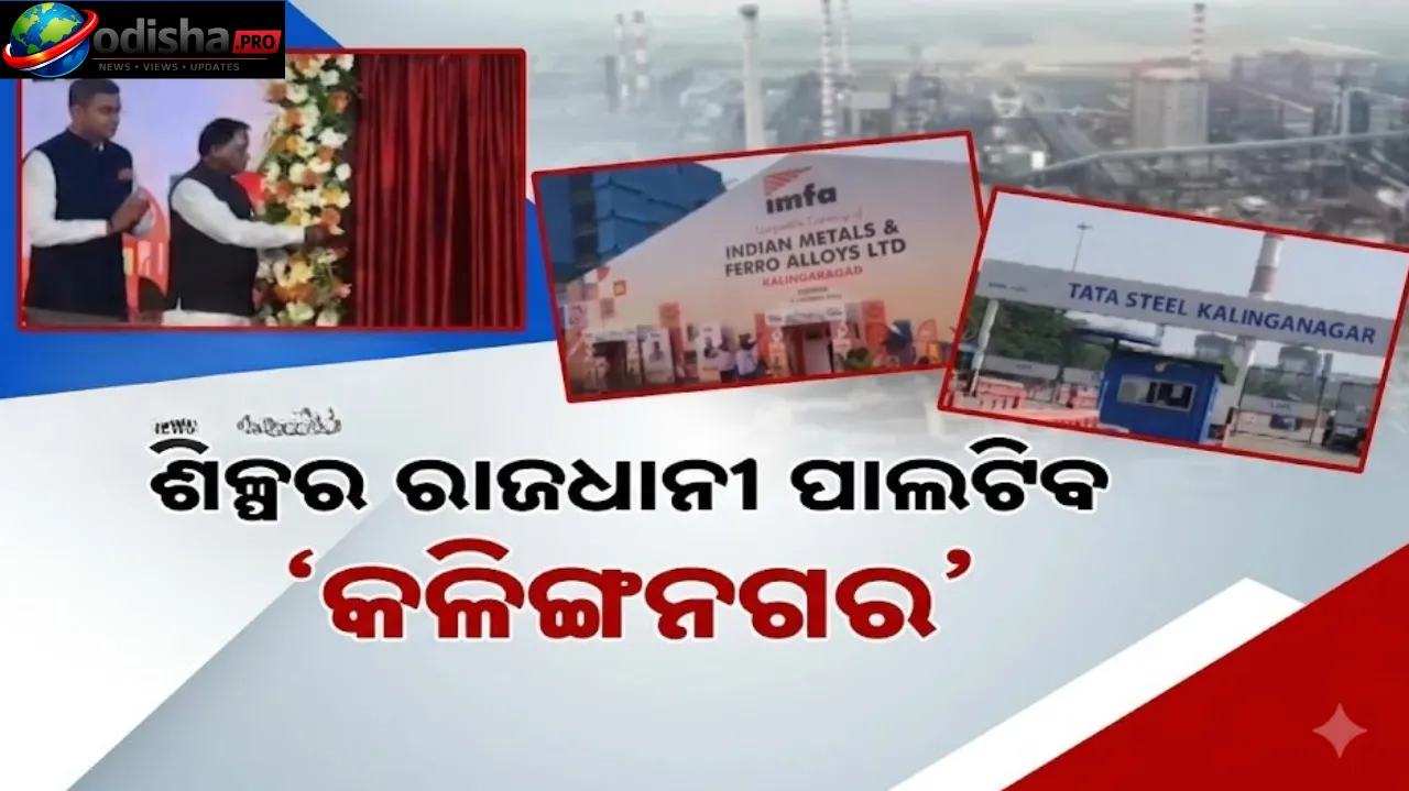 Odisha Chief Minister has launched and inaugurated 46 industrial projects.