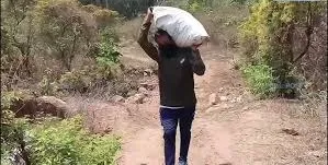 ଗଜପତି ଜଙ୍ଗଲରେ ଭୂଗର୍ଭରେ ଲୁଚାଇ ରଖା ଦୁଇ କୋଟି ଟଙ୍କାର ଗଞ୍ଜେଇ ଜବତ, ପୋଲିସର କଡ଼ା ଅଭିଯାନ