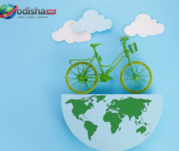 A cyclist rides a traditional bicycle on a road as World Bicycle Day is observed.