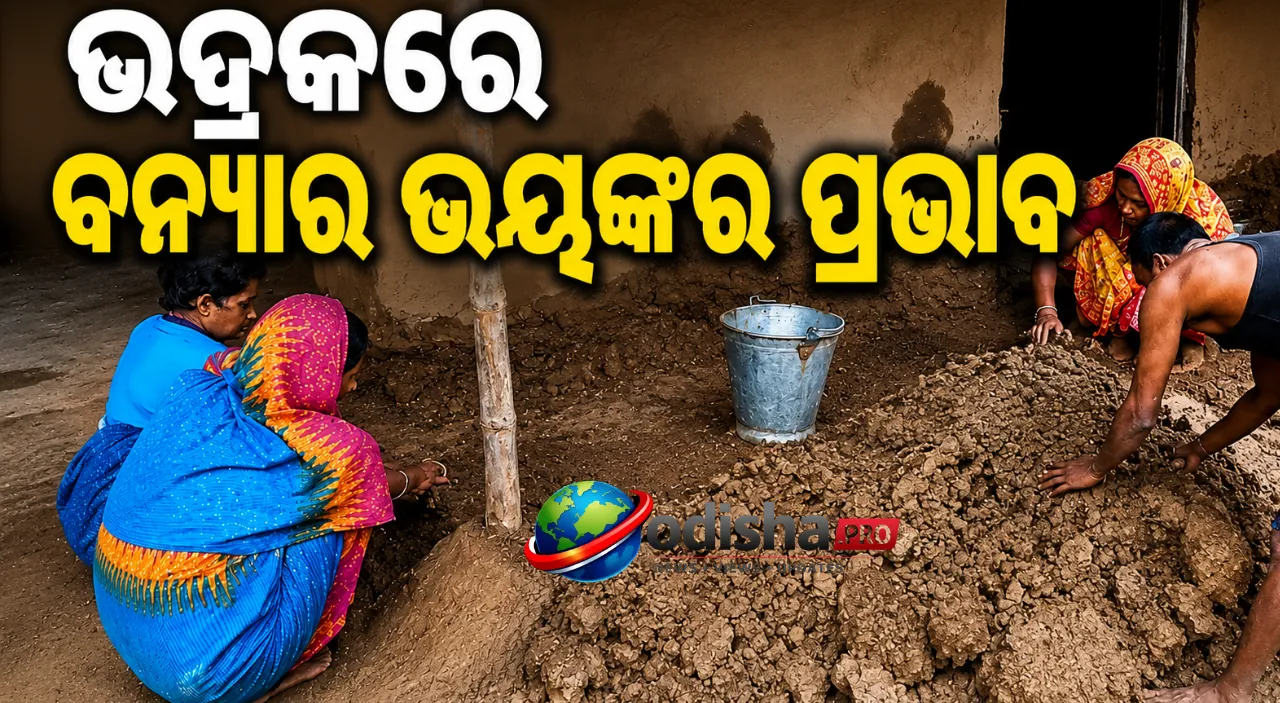 Flood-affected families rebuild damaged mud houses in Mirgahat village of Bhadrak after floodwaters recede.